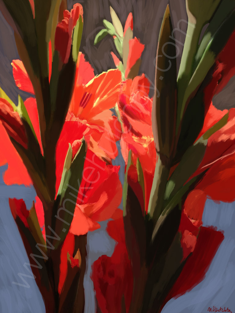 Red Orange Gladioli